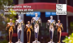 Mediagistic Telly Awards 2024 1 1